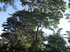 -十号名邸精品酒店（上海音乐学院店）(原复旦五官科医院店)