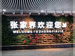 -张家界荷花国际机场