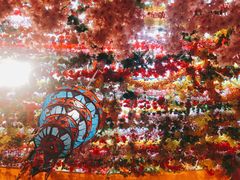-吉祥圣雪藏餐