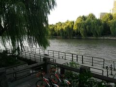 -运河游船(武林门码头)