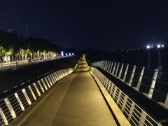 -南京眼步行桥