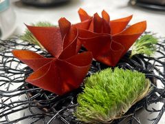 -迦南苑·新派青岛菜·生日纪念日主题餐厅