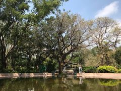 -九龙公园