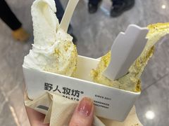 -野人先生现做冰淇淋(西安赛格店)