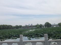 -长春市南湖公园