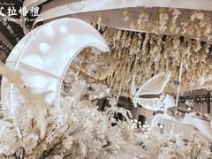 -艾拉私人定制婚礼