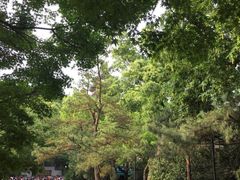 -杭州伊美大酒店