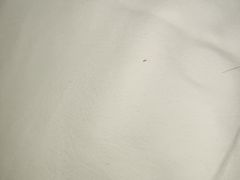 -潮岸酒店(广州琶洲会展广州塔店)