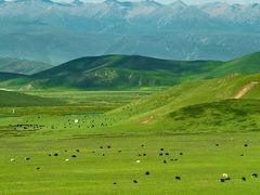 -青海湖国家重点风景名胜区