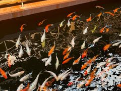 -侠成水上农庄(工业大道店)