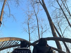 -合肥滨湖国家森林公园