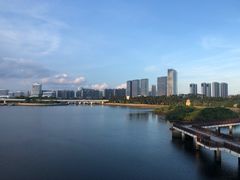 -五缘湾湿地公园