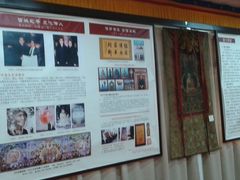 -紫竹院公园冰场