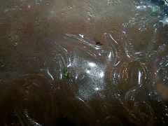 android_upload_pic-百年尹氏汤包(湖南路狮子桥店)