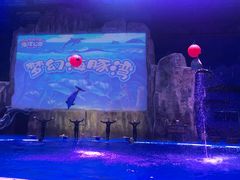 -华夏文旅海洋公园