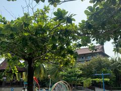 -三亚海棠湾万丽度假酒店