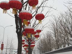 -西海子公园