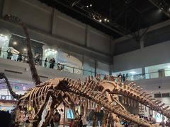 -自贡恐龙博物馆