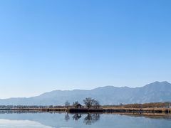 -野鸭湖国家湿地公园