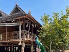 -西双版纳傣族园