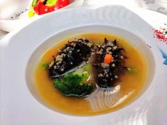 -田螺阿姨自营月嫂·育儿嫂(高新店)
