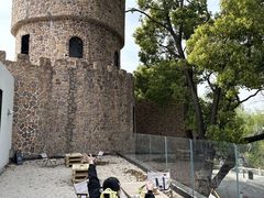 -J Create城市露营咖啡·简餐·宠物(上海动物园店)