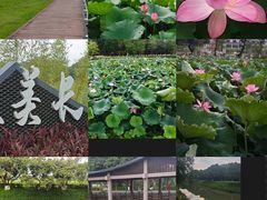 -长洲岛