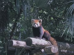 -成都娃娃花园餐厅 (南艺旗舰店)