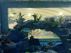 -常州海昌海洋探索馆