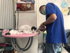 -宠颐生中康贝怡动物医院