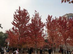 -辽宁大学(崇山校区)