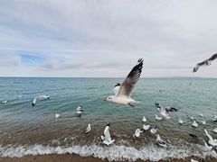 -青海湖国家重点风景名胜区