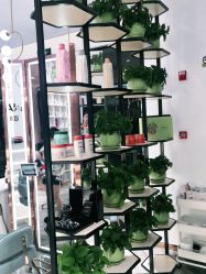 -MY WAY SALON