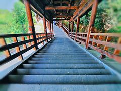 -巢湖姥山岛