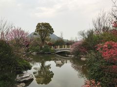 -桃花岛景观公园