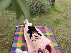 -铁山坪森林公园