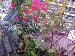 -深圳海景嘉途酒店(东翼楼)