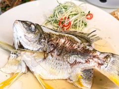 -龙的酒楼·手工早茶·顺德菜(近良路店)