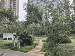 -成都市活水公园