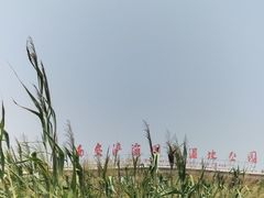 -西安浐灞国家湿地公园