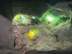 -湖南省地质博物馆