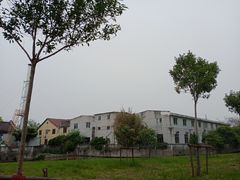 -喜杨洋草莓采摘园
