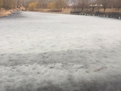 -长春公园(普阳街道)