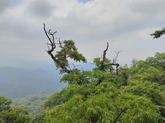 -青城山
