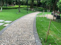 -重庆市江北嘴中央商务区中央公园