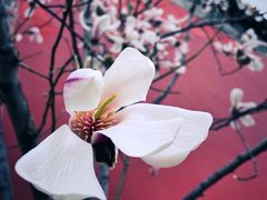 -东华门大街小区
