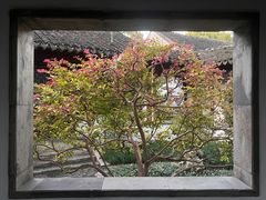 -秋霞圃