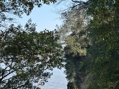 -窦圌山风景区