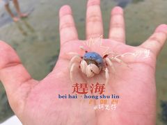 -红树林天天赶海