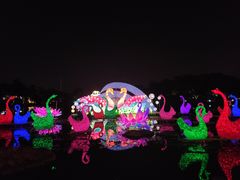 -映月湖公园